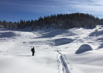 Il record alla Piana di Marcesina. Belluno (-11