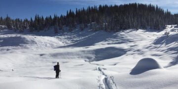 Il record alla Piana di Marcesina. Belluno (-11