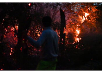 Il decreto di necessità ed urgenza del governo prevede stanziamenti straordinari