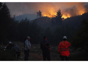 È un 39enne con precedenti. Finora 21 morti