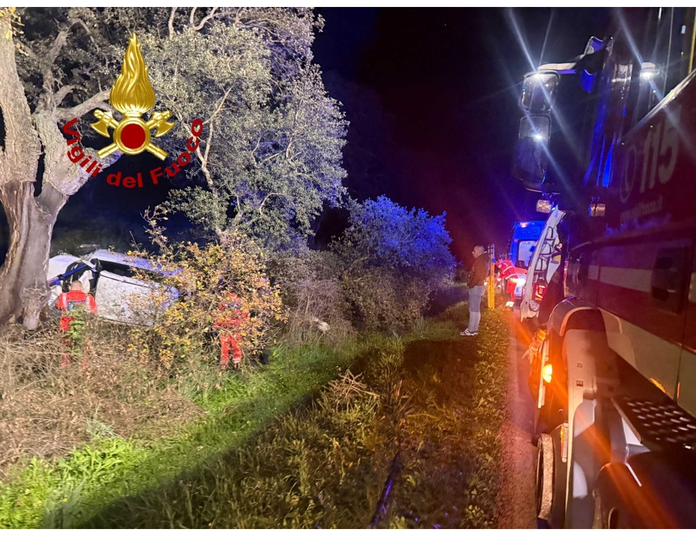 Auto contro un albero per evitare un cinghiale, un morto e un ferito