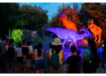 In arrivo a primavera nuove specie animali a rischio di estinzione