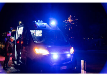 Decine richieste d'aiuto. Animali terrorizzati in fuga da esplosioni di Capodanno