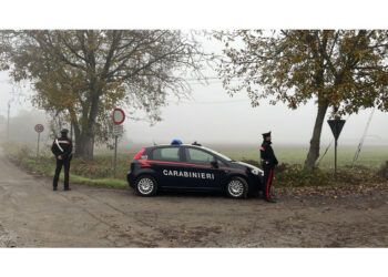 Aveva lasciato il bar dove lavorava