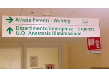 E' ricoverata nel reparto di rianimazione del San Bortolo di Vicenza