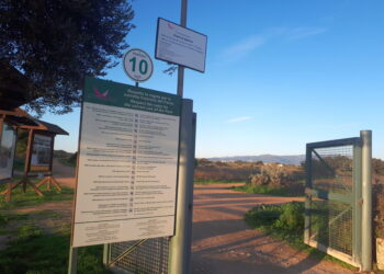 Lndc Animal Protection denuncia il caso e lancia un appello