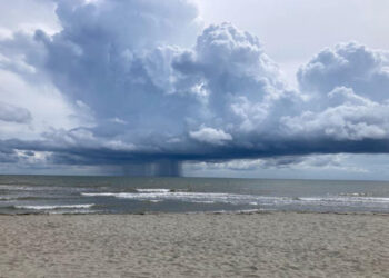 Greta Spreafico sparì dal Porto Tolle nel giugno del 2022