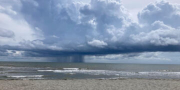 Greta Spreafico sparì dal Porto Tolle nel giugno del 2022