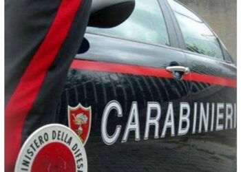 L'episodio in un istituto della Bassa friulana