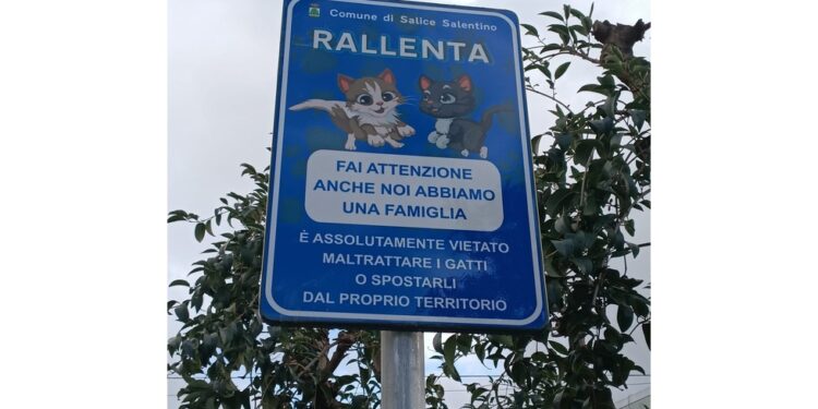 Iniziativa del Comune di Salice Salentino