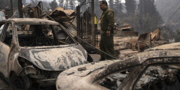 Devastati oltre 20mila ettari