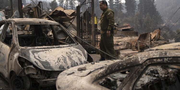 Devastati oltre 20mila ettari