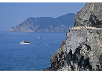 Al bando partecipano 192 proprietari e agricoltori