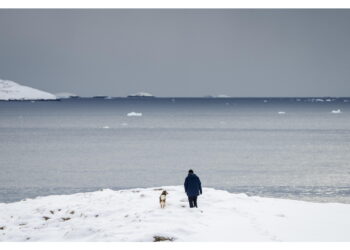 L'iniziativa avanzata a Rutte