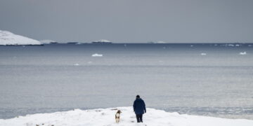 L'iniziativa avanzata a Rutte