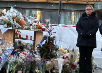 Lo ha riferito l'ambasciatore Cornado