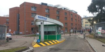 'Sono due giovani di Milano