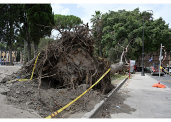 Procura chiude le indagini. Si contestano omicidio colposo e lesioni