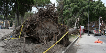 Procura chiude le indagini. Si contestano omicidio colposo e lesioni