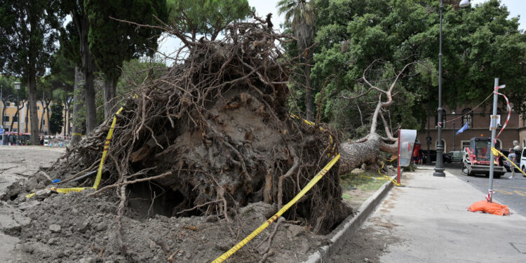 Procura chiude le indagini. Si contestano omicidio colposo e lesioni