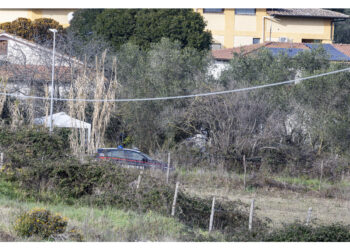 Per "ostacolare il riconoscimento" di Federica Torzullo