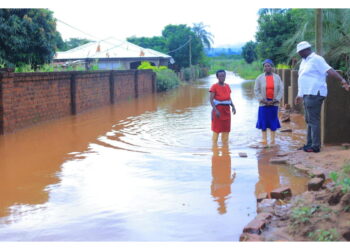 Istituito un fondo per la ripresa della riserva naturale con contribuzione pubblica
