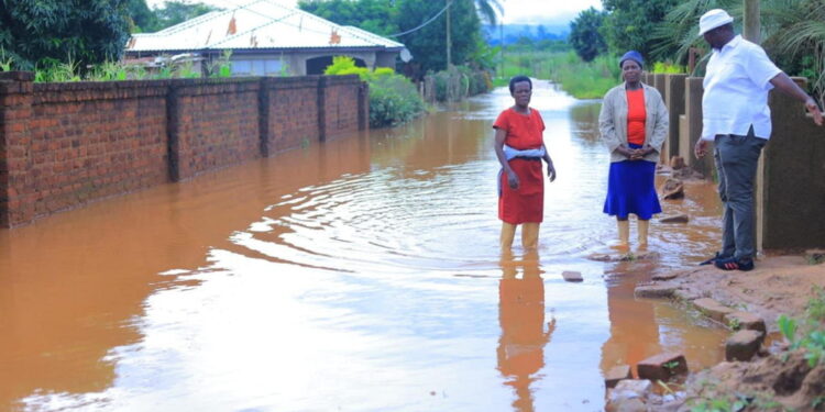 Istituito un fondo per la ripresa della riserva naturale con contribuzione pubblica