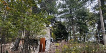 Cantelmi: 'la sottrazione di questi bimbi ormai incomprensibile'