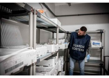 Nel 2025 nei porti laziali effettuate 76 ispezioni dalla Guardia Costiera