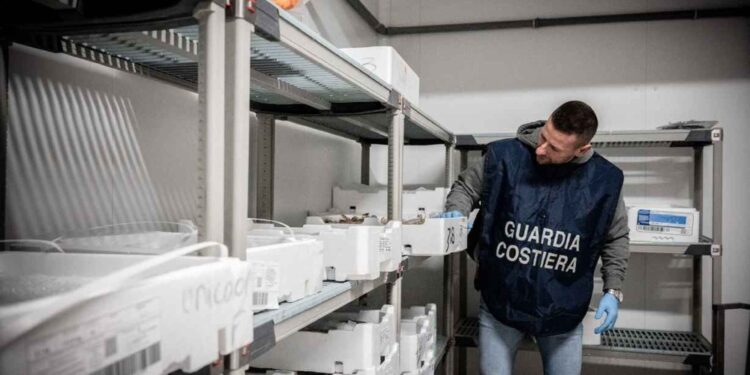 Nel 2025 nei porti laziali effettuate 76 ispezioni dalla Guardia Costiera