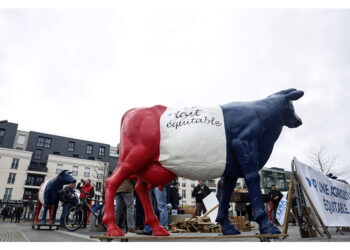 "Necessaria valutazione politica dell'Ue"