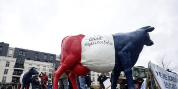 "Necessaria valutazione politica dell'Ue"