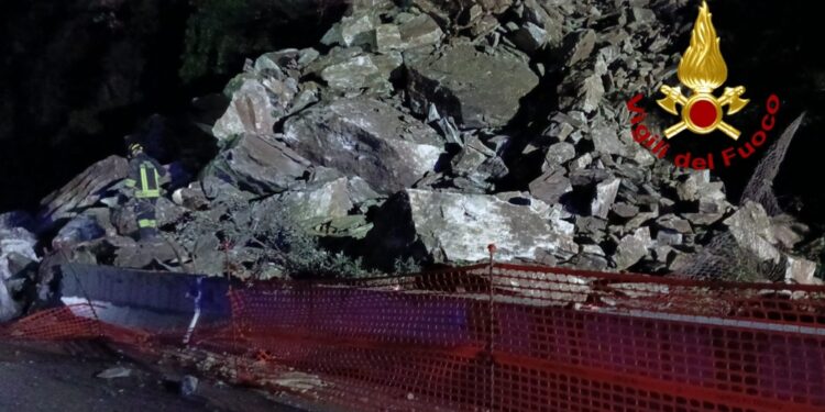 Unità cinofila in azione per verificare la presenza di persone coinvolte