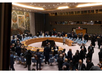 'Blitz in Venezuela contrario al principio del non uso della forza'