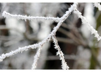 Dati di Arpa Lombardia