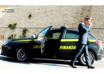 Nascosti nella cabina di autoarticolato