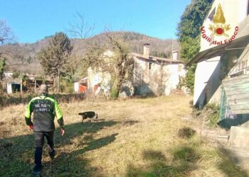 Terminato tavolo di coordinamento in Prefettura Padova sulla scomparsa di Annabella