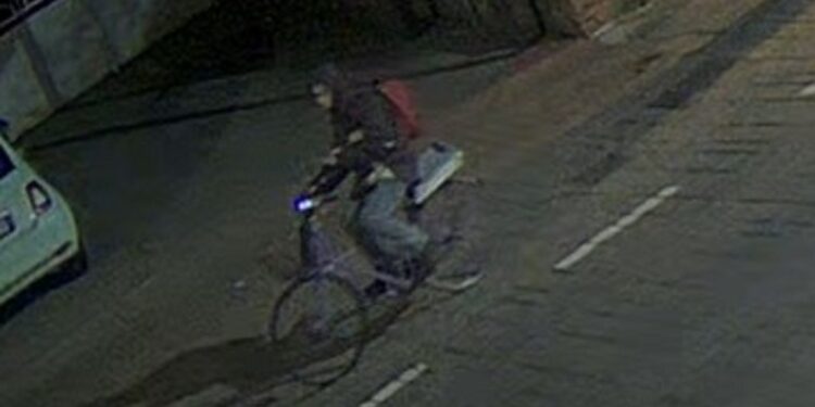 Nelle immagini diffuse oggi Annabella viaggiava il 6 gennaio tra Padova e Teolo