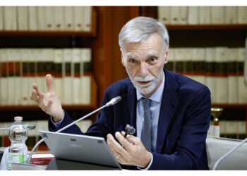 Delrio ha spiegato che serve una legge specifica