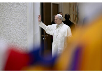 Leone invita ad uno stile di vita fraterno