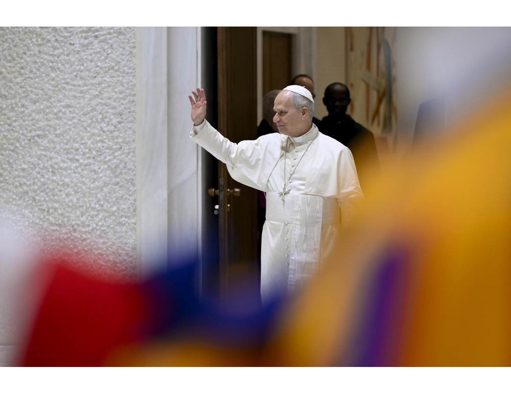 Il Papa, il cristiano non basi la sua vita sul successo e sulla carriera