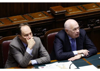 Il ricorso presentato dal Comitato promotore della raccolta firme