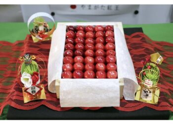 Aste di lusso a Tokyo e Yamagata per qualità pregiata