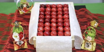 Aste di lusso a Tokyo e Yamagata per qualità pregiata