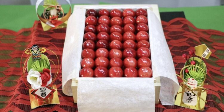 Aste di lusso a Tokyo e Yamagata per qualità pregiata