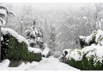 Arpa: "Sono possibili distacchi a distanza"