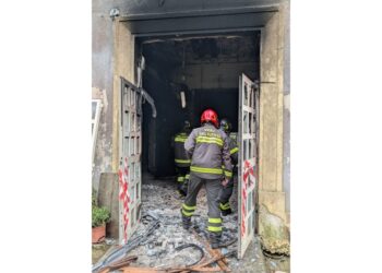 Ipotesi che il rogo sia doloso. Assessore: 'Vogliono bloccare il progetto'