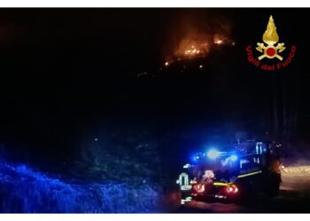 Pompieri nella zona di Lauco già da alcune ore