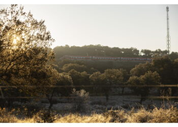 Era alla guida del convoglio investito dal crollo di un muro di contenimento
