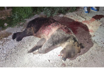 Lunedì prossimo 19 gennaio alle 9